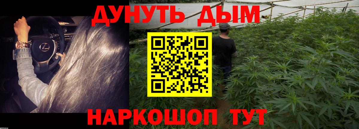Шишки марихуана марихуана  Конопля SATIVA & INDICA  Тында  Вход с VPN  Шишки марихуана план 